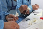 sola flowers factory